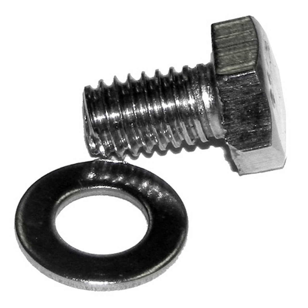 Magnum 6MM Hex Head with Washer for Lag Poles