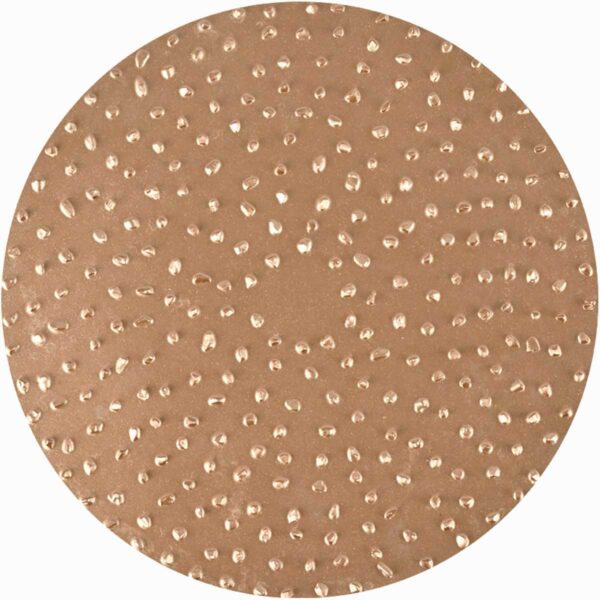 TapeTech Grit Tungsten Carbide Sanding Disc for Power Sanders