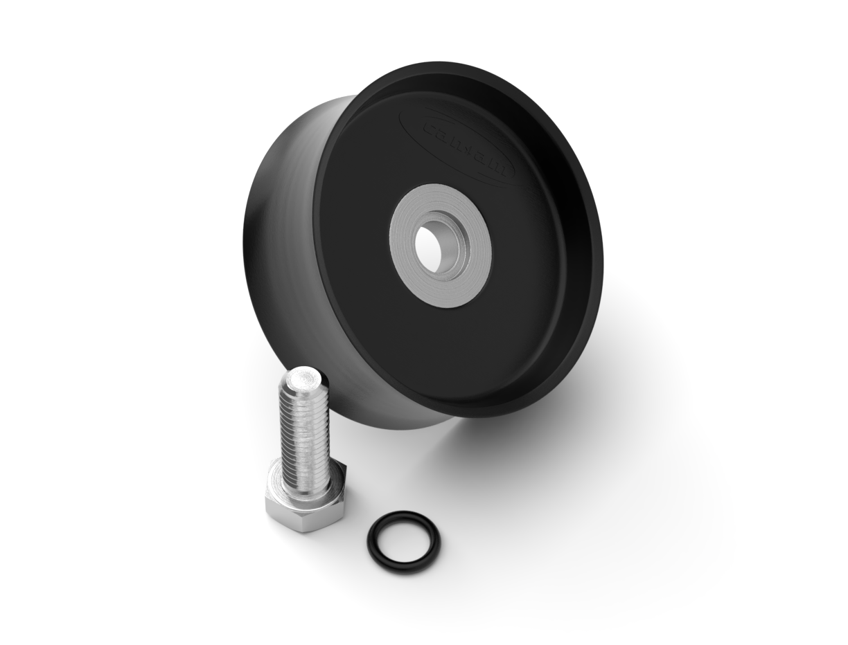 Can-Am Piston Assembly