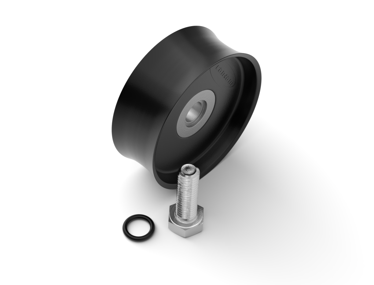 Can-Am Piston Assembly