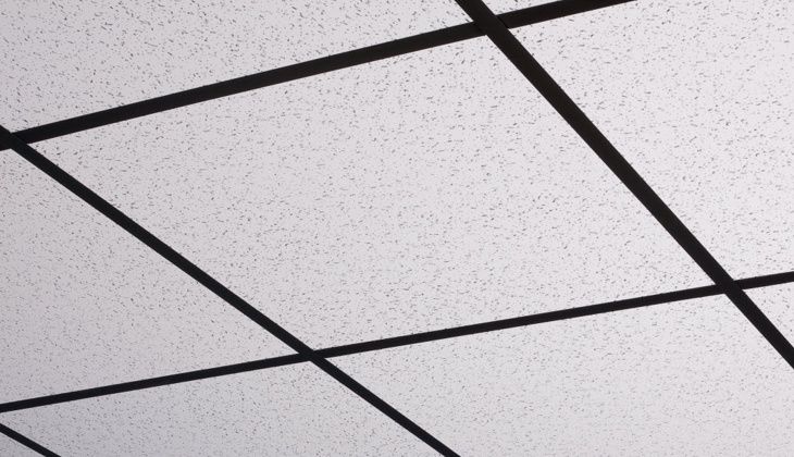 Canada Drop Residential Grade Black Ceiling Grid
